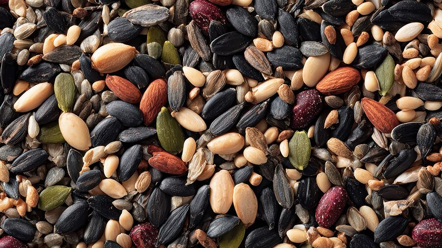 Seeds