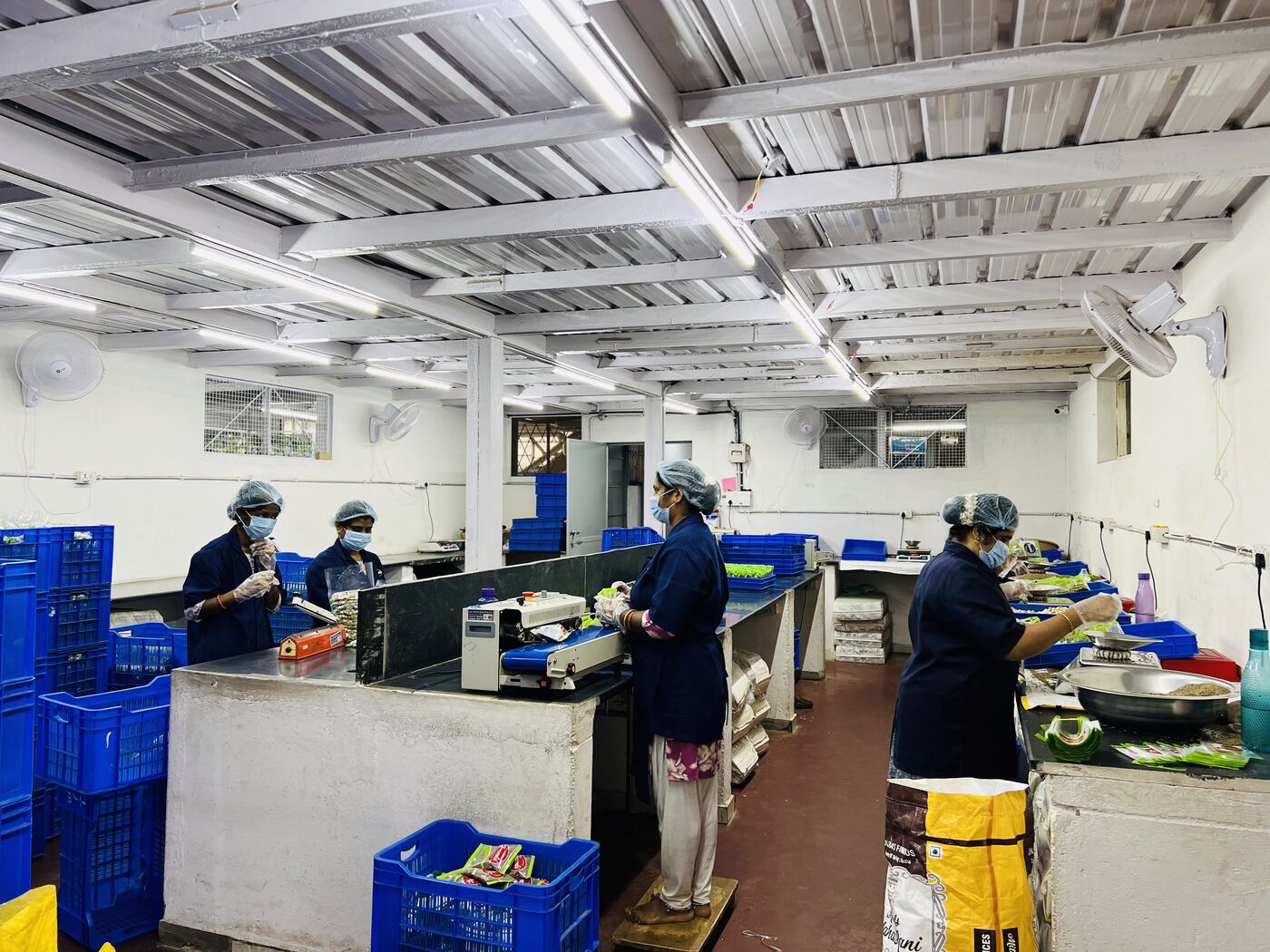 Packing Line Overview